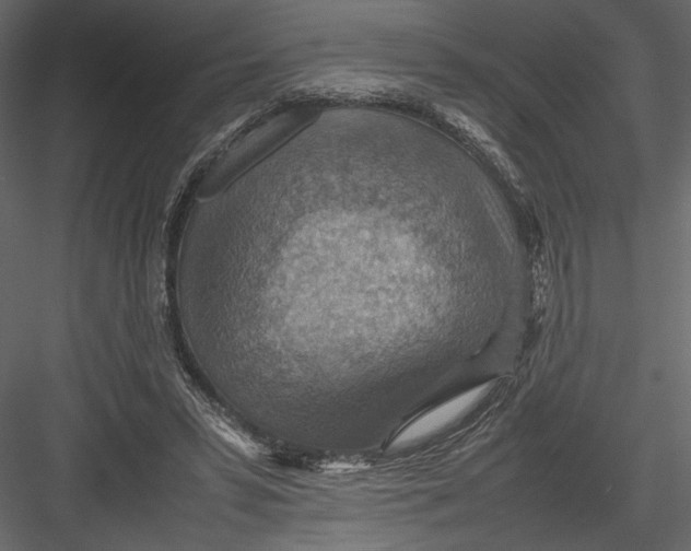 X0000082990399200702230105