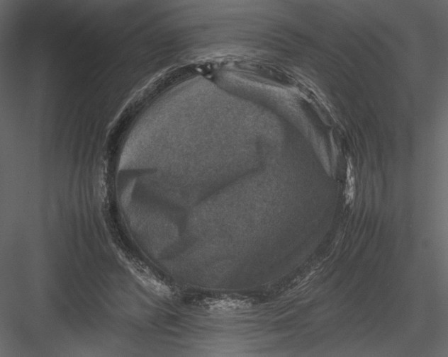 X0000082990400200702230105