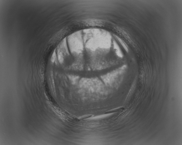 X0000082990402200702230105