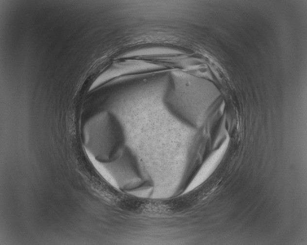 X0000082990403200702230105