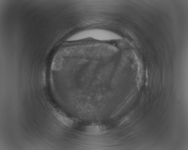 X0000082990404200702230105