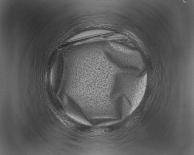 X0000082990405200702230105