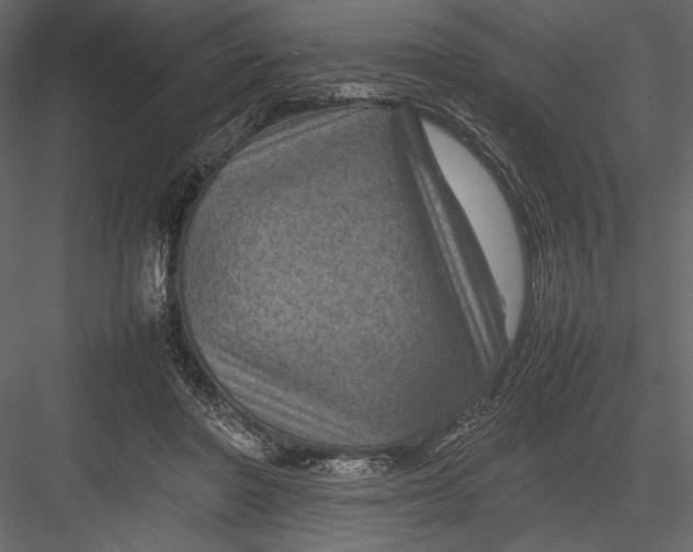 X0000082990406200702230105