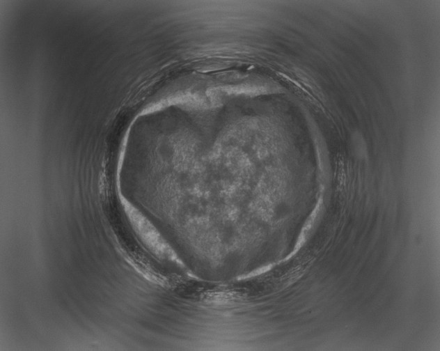 X0000082990408200702230105