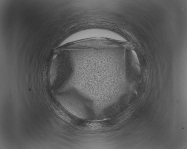 X0000082990409200702230105