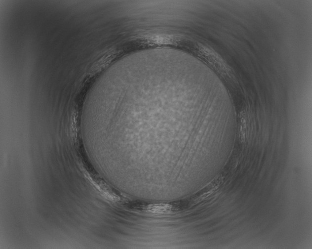 X0000082990410200702230105