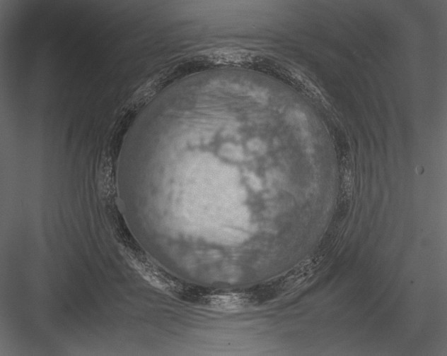 X0000082990411200702230105