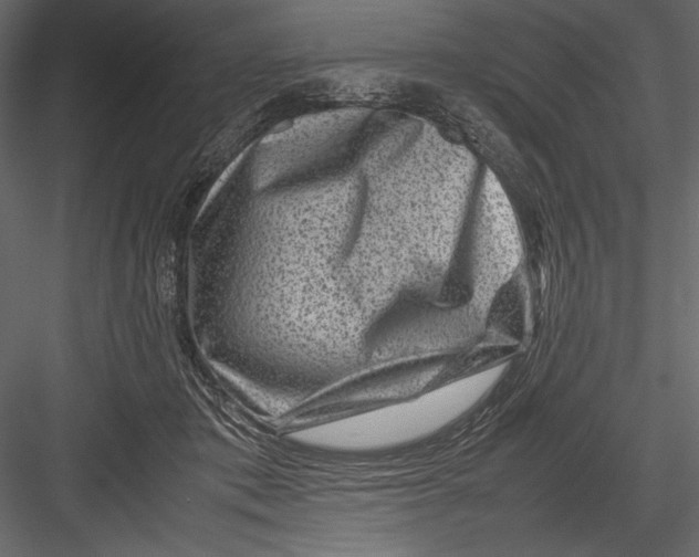 X0000082990413200702230105