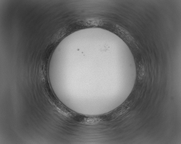 X0000082990414200702230105