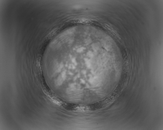 X0000082990415200702230105