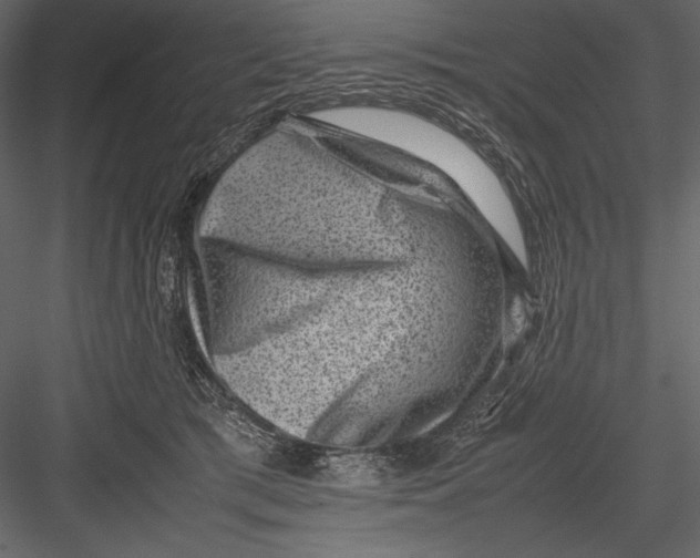 X0000082990417200702230105