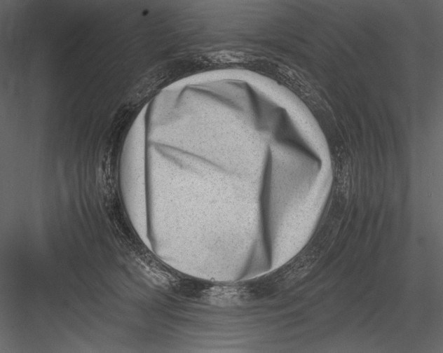 X0000082990418200702230105