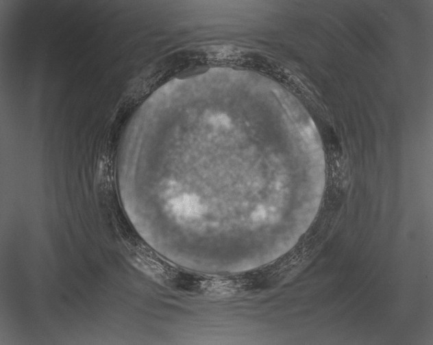 X0000082990419200702230105