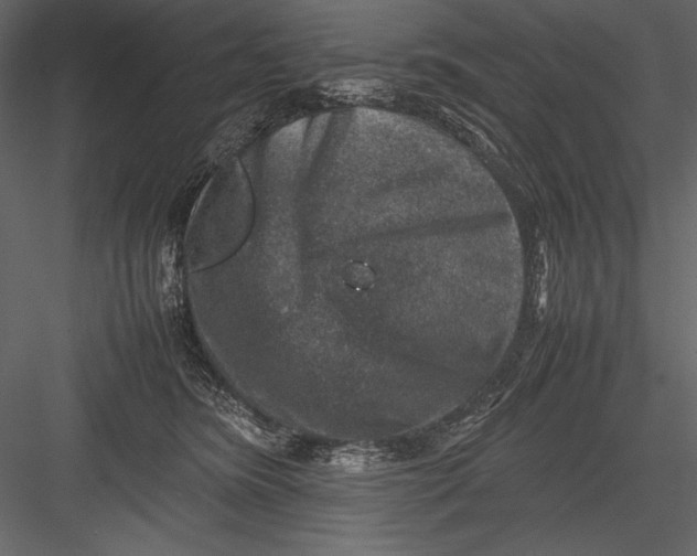 X0000082990420200702230105