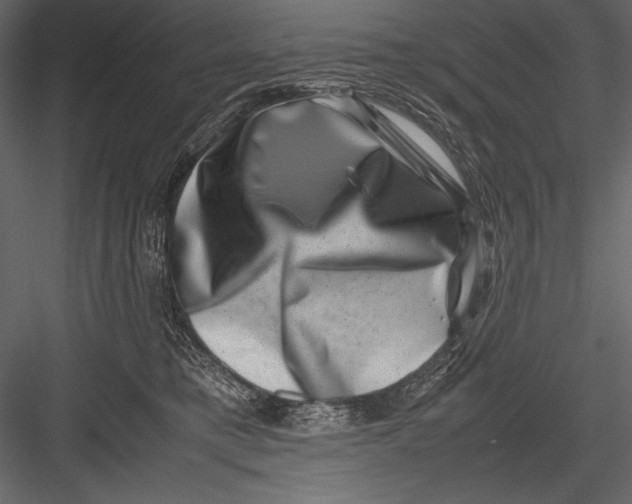 X0000082990421200702230105