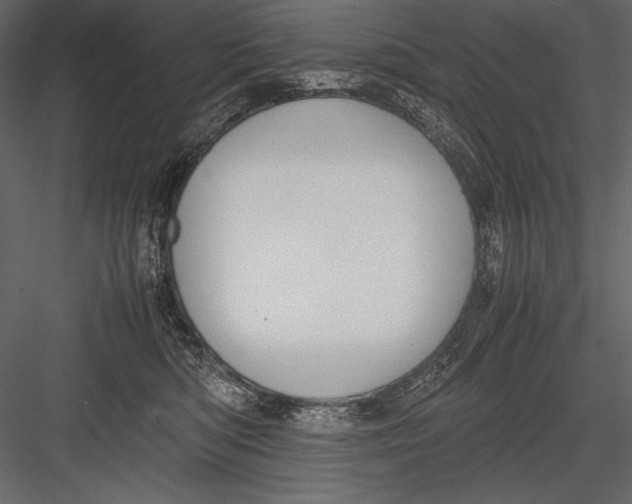 X0000082990422200702230105