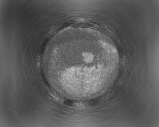 X0000082990423200702230105