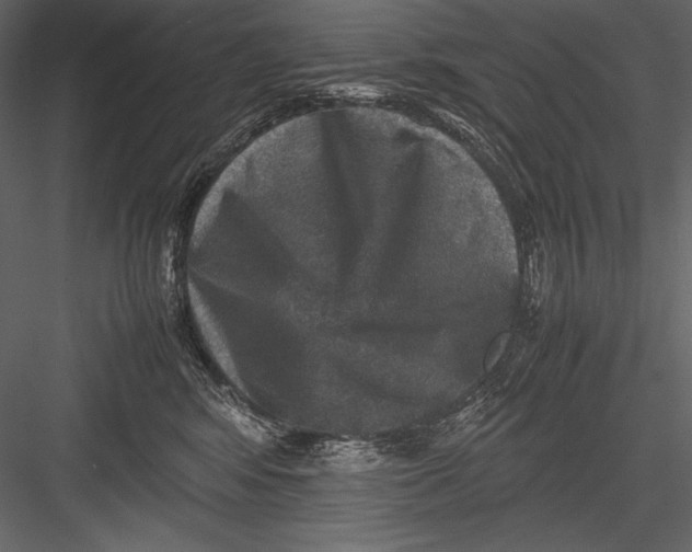 X0000082990424200702230105