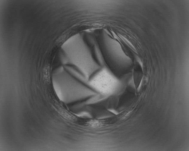 X0000082990425200702230105