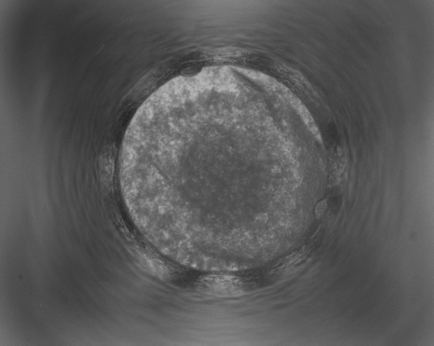 X0000082990427200702230105