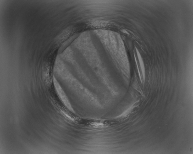 X0000082990428200702230105