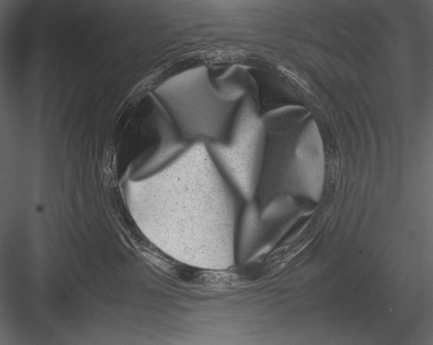 X0000082990429200702230105