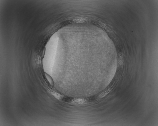 X0000082990431200702230105