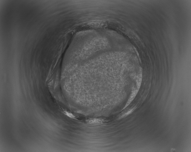 X0000082990432200702230105