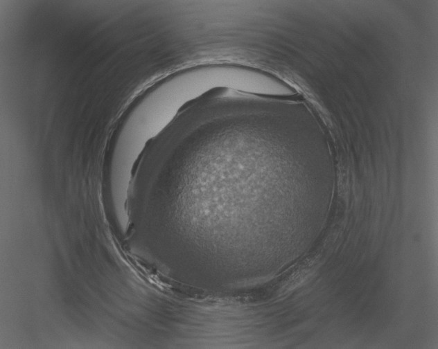 X0000082990434200702230104