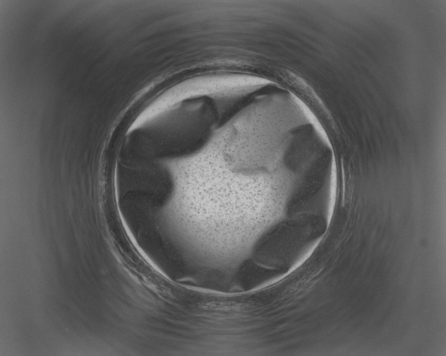 X0000082990435200702230104