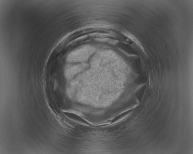 X0000082990436200702230104