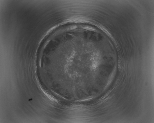 X0000082990438200702230104