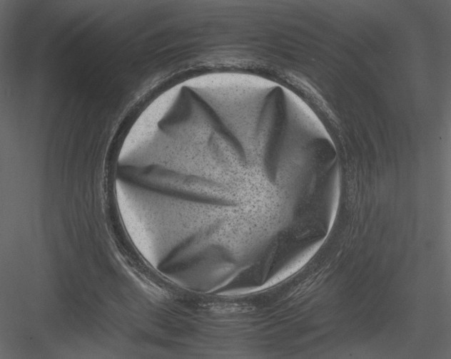 X0000082990439200702230104