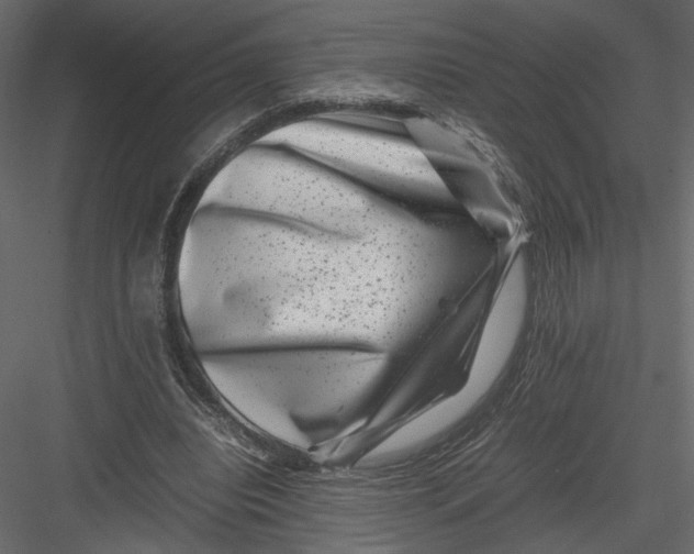 X0000082990440200702230104