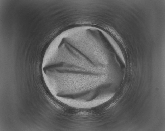 X0000082990441200702230104