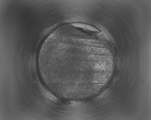 X0000082990442200702230104