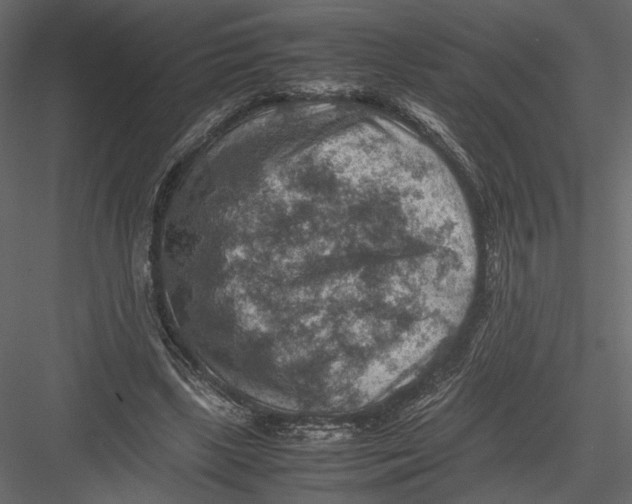 X0000082990443200702230104