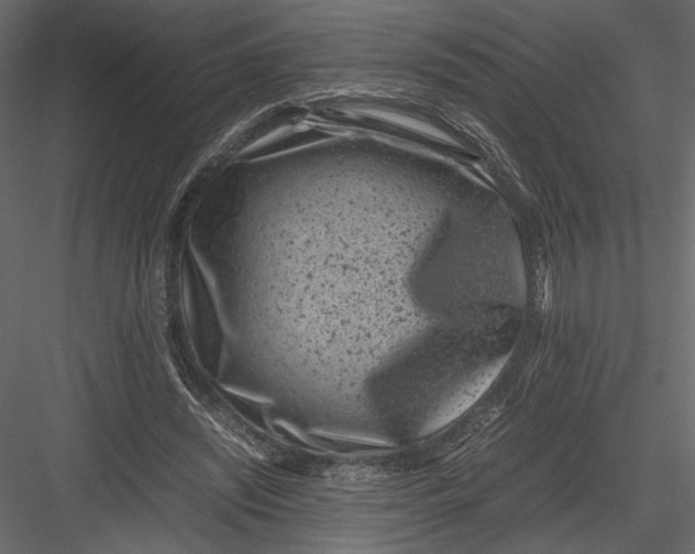 X0000082990444200702230104