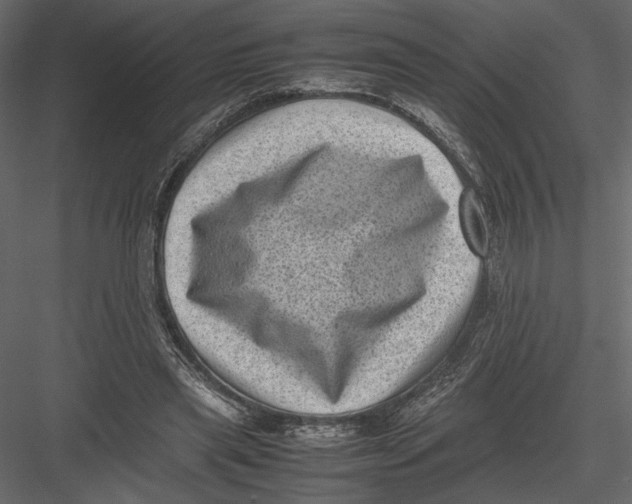 X0000082990445200702230104