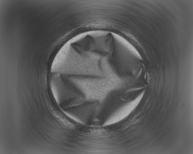 X0000082990446200702230104