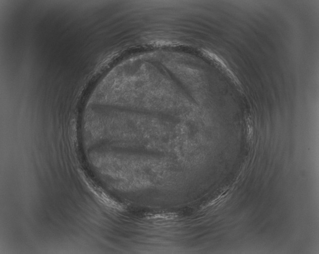 X0000082990447200702230104