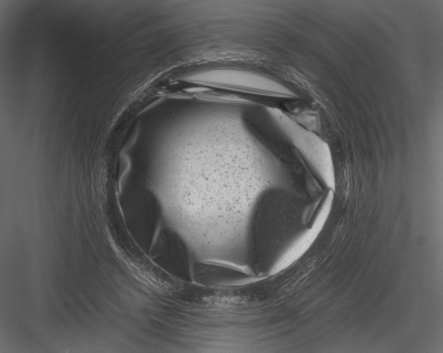 X0000082990448200702230104