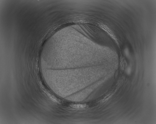 X0000082990449200702230104