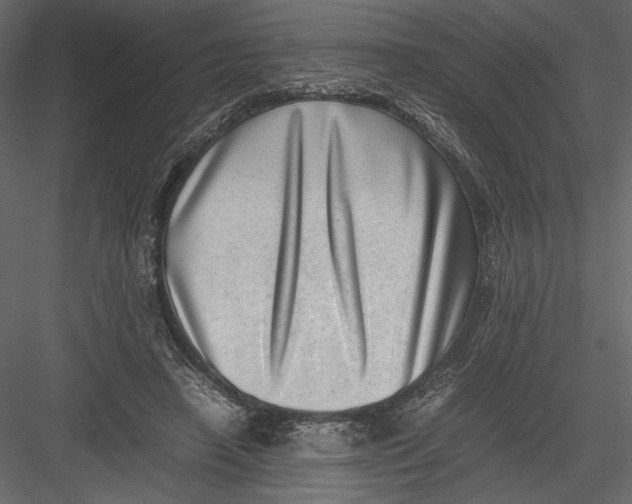 X0000082990450200702230104