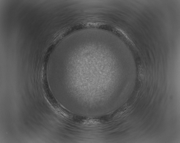 X0000082990451200702230104