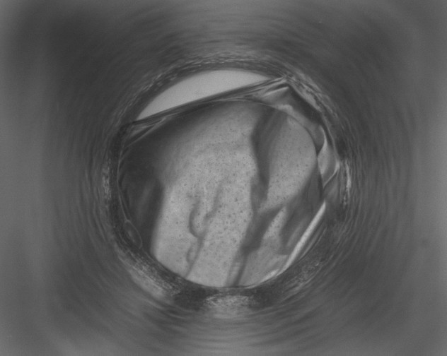 X0000082990452200702230104