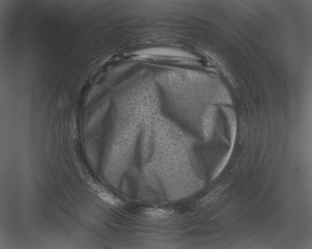 X0000082990453200702230104