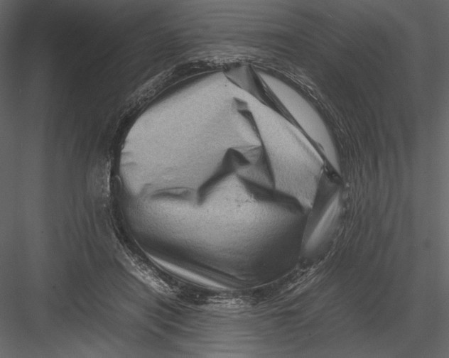 X0000082990454200702230104