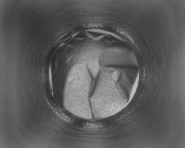 X0000082990455200702230104