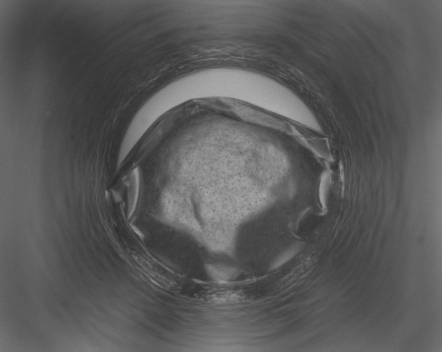 X0000082990456200702230104